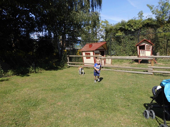 Karneval 2024 Bild 3