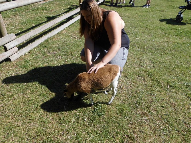 Karneval 2024 Bild 4