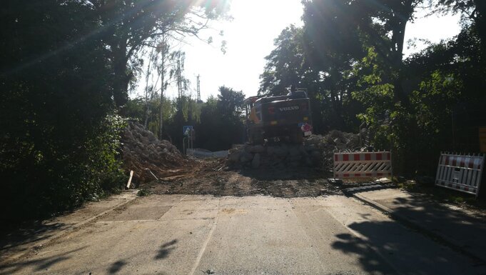 Karneval 2024 Bild 1