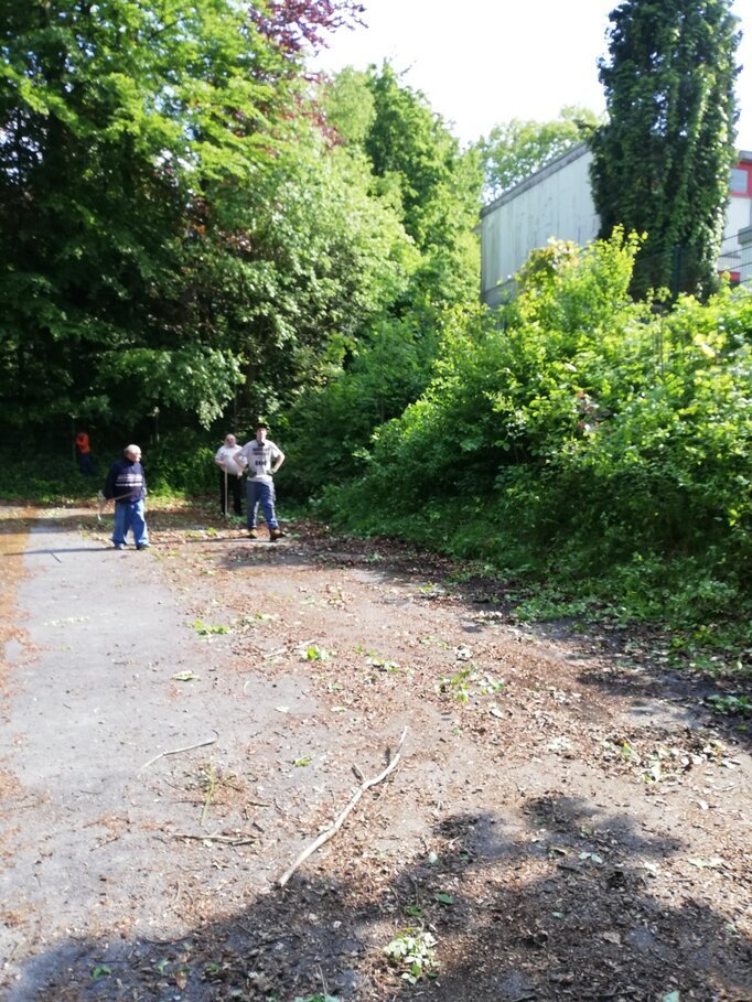 Karneval 2024 Bild 2