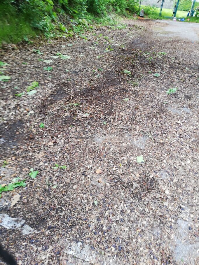 Karneval 2024 Bild 8